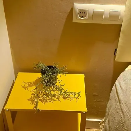 Vivienda Con Jardin Terraza Y Barbacoa