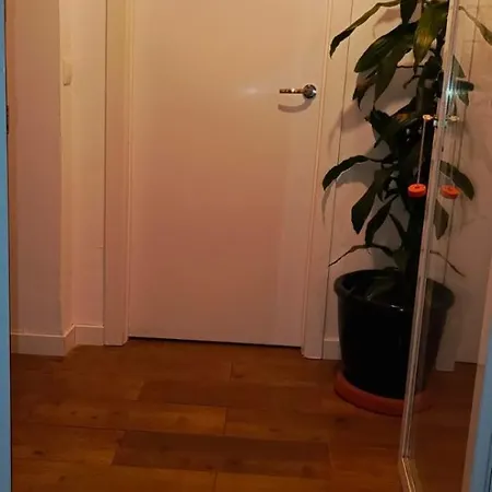 Vivienda Con Jardin Terraza Y Barbacoa 펜션 Picona