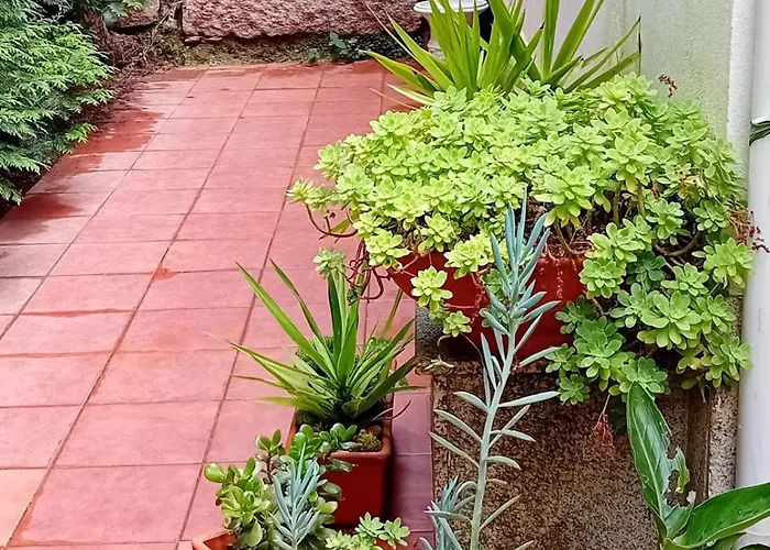 Vivienda Con Jardin Terraza Y Barbacoa